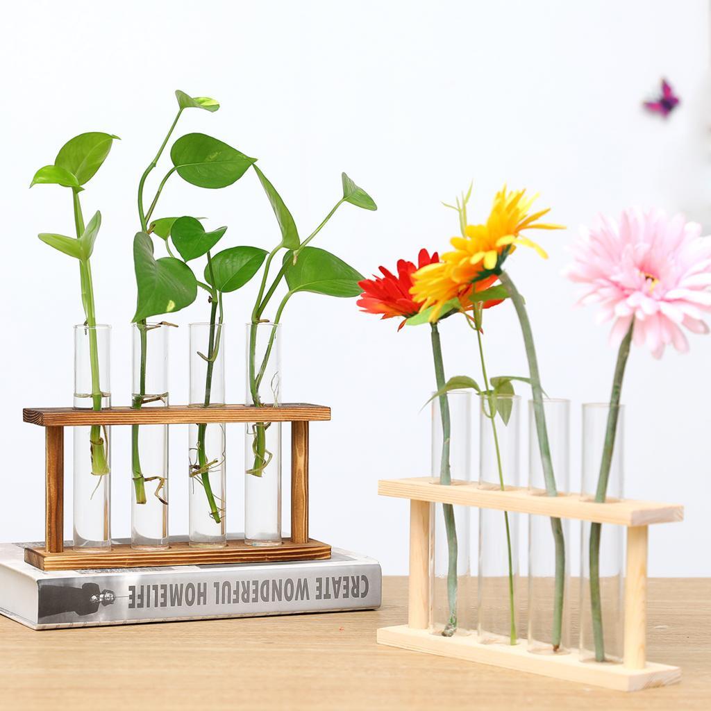 Test Tube Rack Glass Flower Va - Propagation Station Vase review and price