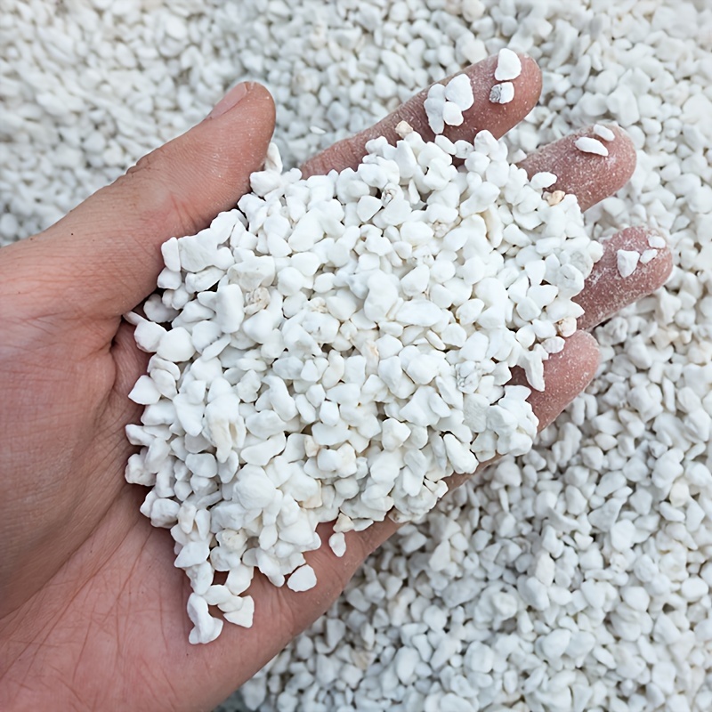 1 Bag 3-6 mm Gardening Perlite - Sphagnum Moss Dry review and price