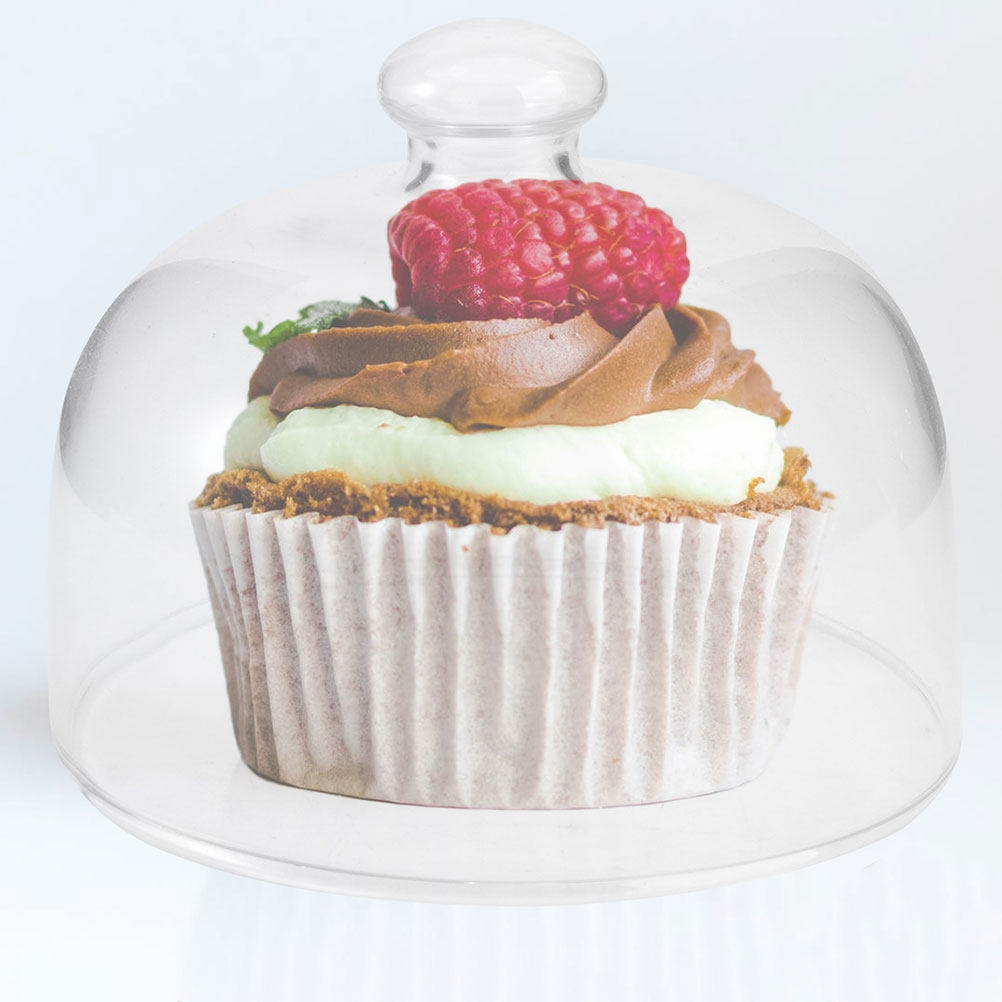 2Pcs Clear Glass Round Cake Co - Plastic Dome Clear review and price