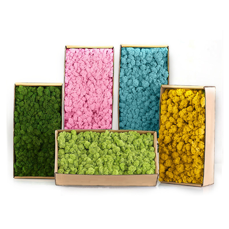 Artificial Green Plants Mini L - Sphagnum Moss Dry review and price