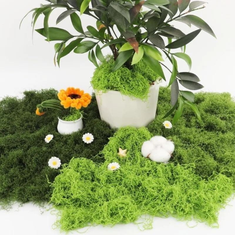 Artificial Green Moss Fake Mos - Sphagnum Moss Dry review and price
