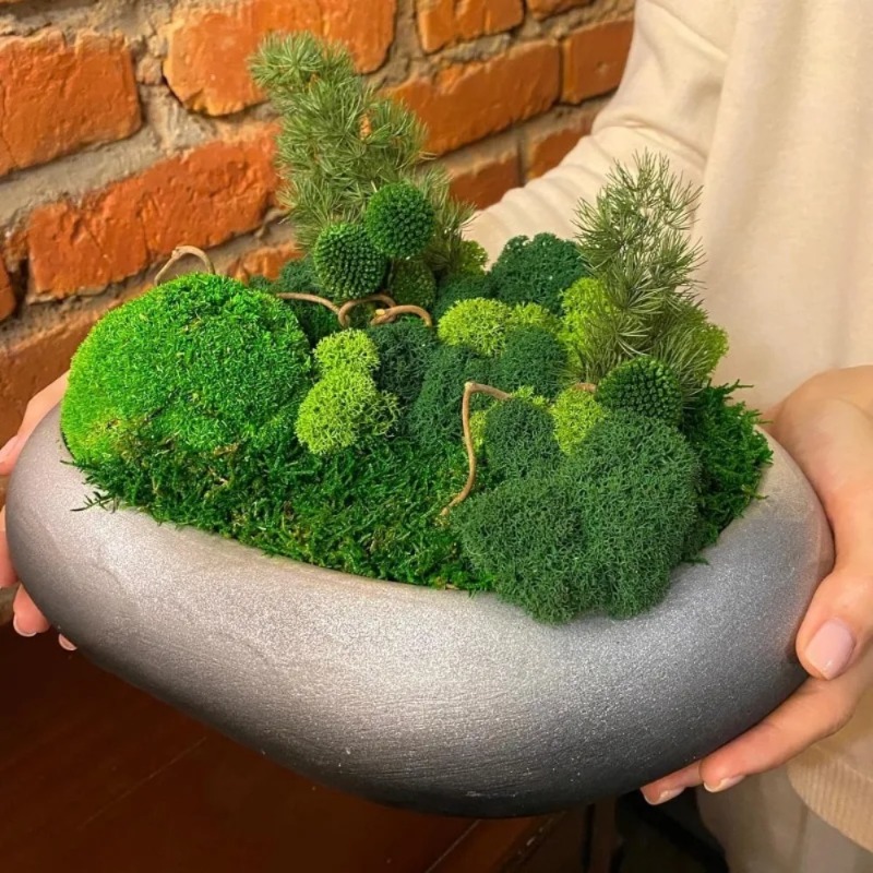 Artificial Green Moss Fake Mos - Sphagnum Moss Dry review and price
