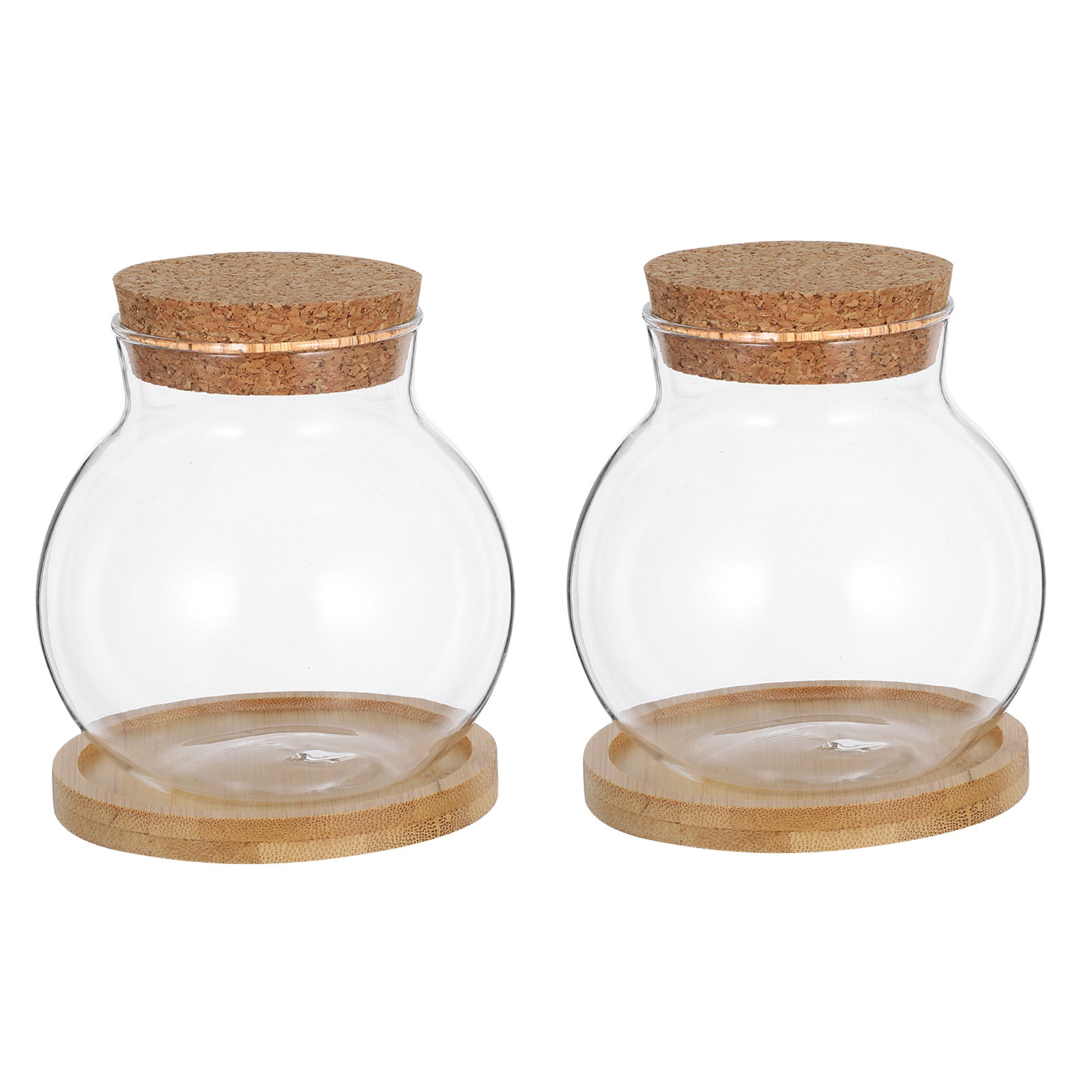 2Set Hydroponic Glass Elegant  - Propagation Station Vase review and price